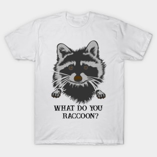 What Do You Raccoon? T-Shirt